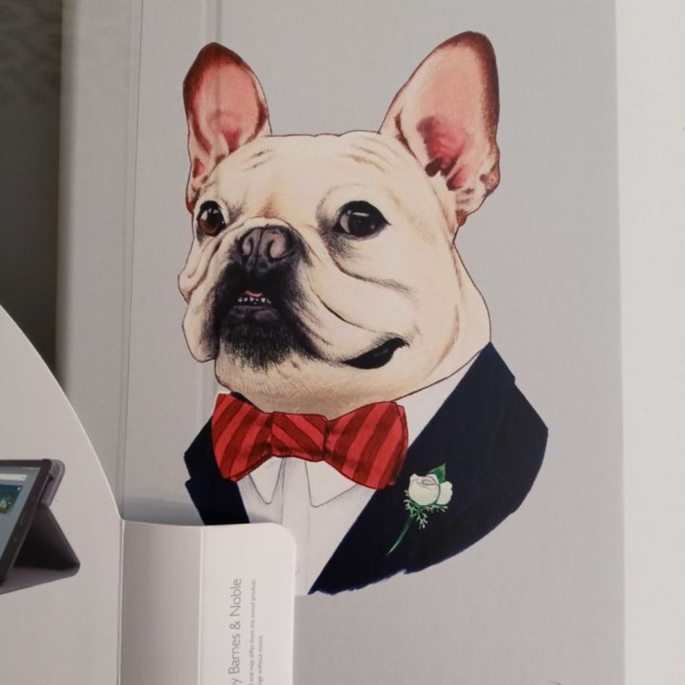 ♡ Galaxy E Tab Nook 2 Way Cover Stand Pug Dog Blue Design *new*